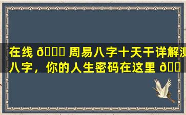 在线 🕊 周易八字十天干详解测八字，你的人生密码在这里 🐠 ！